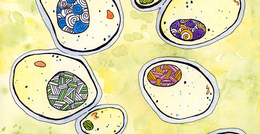 RadioBio art for episode on misfolded proteins cause human neurodegenerative diseases, like Alzheimer's, ALS, and Parkinson's.