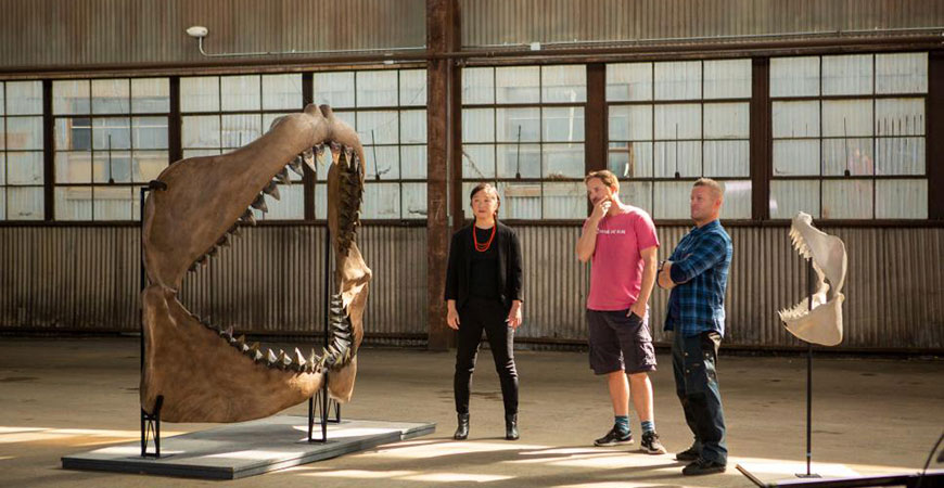 Professor Kim, left, stands between a model of a megalodon jaw and the jaw of a great white shark in a scene from