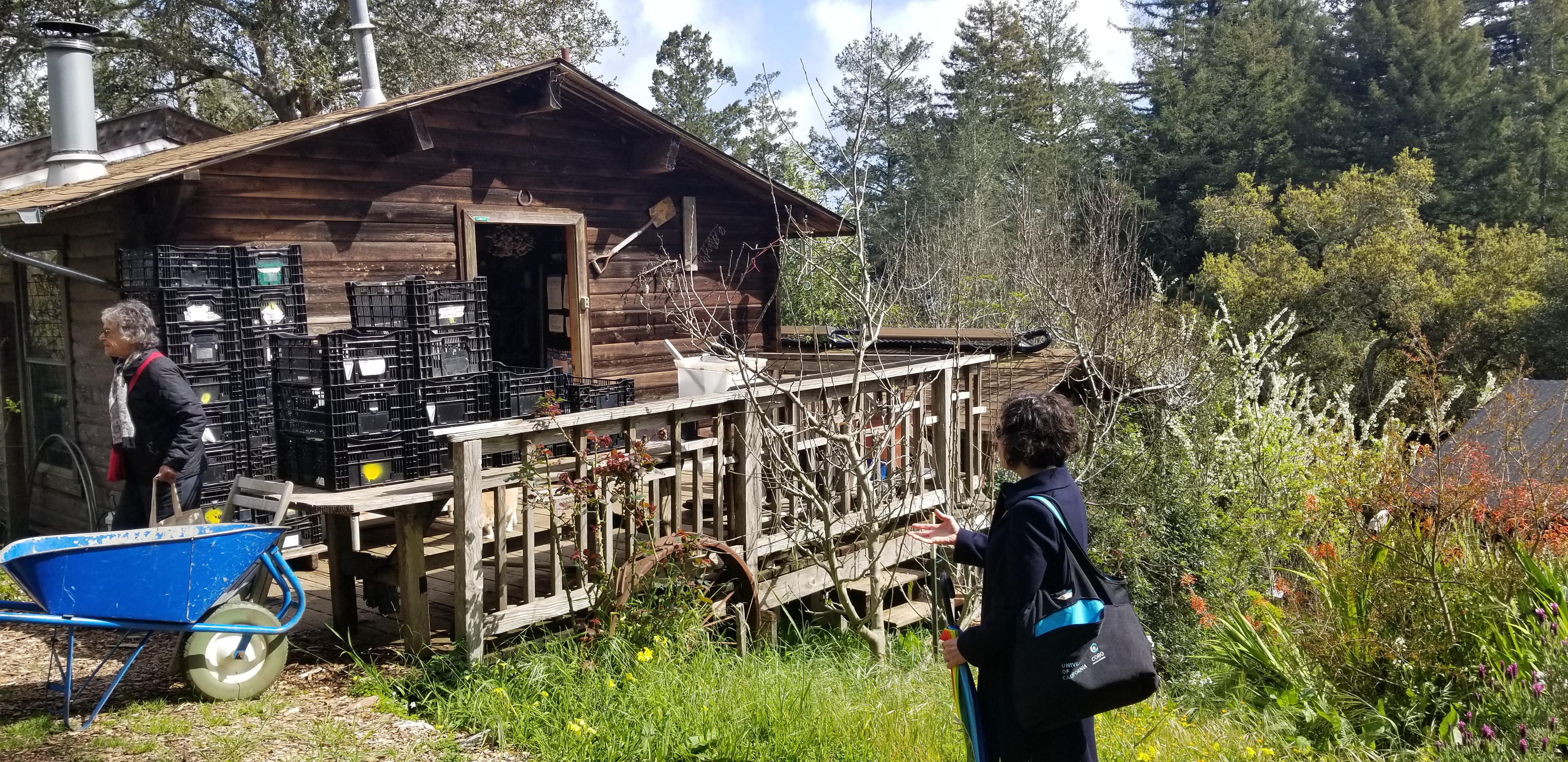 Site from a UCSC campus tour